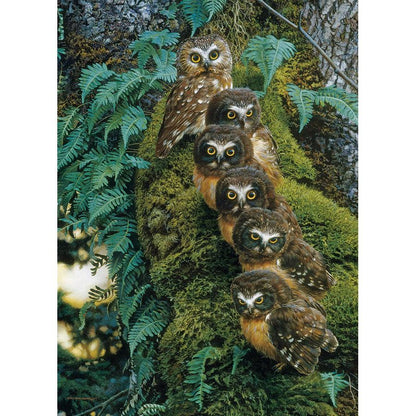 Family Tree 1000 Piece Jigsaw Puzzle Cobble Hill