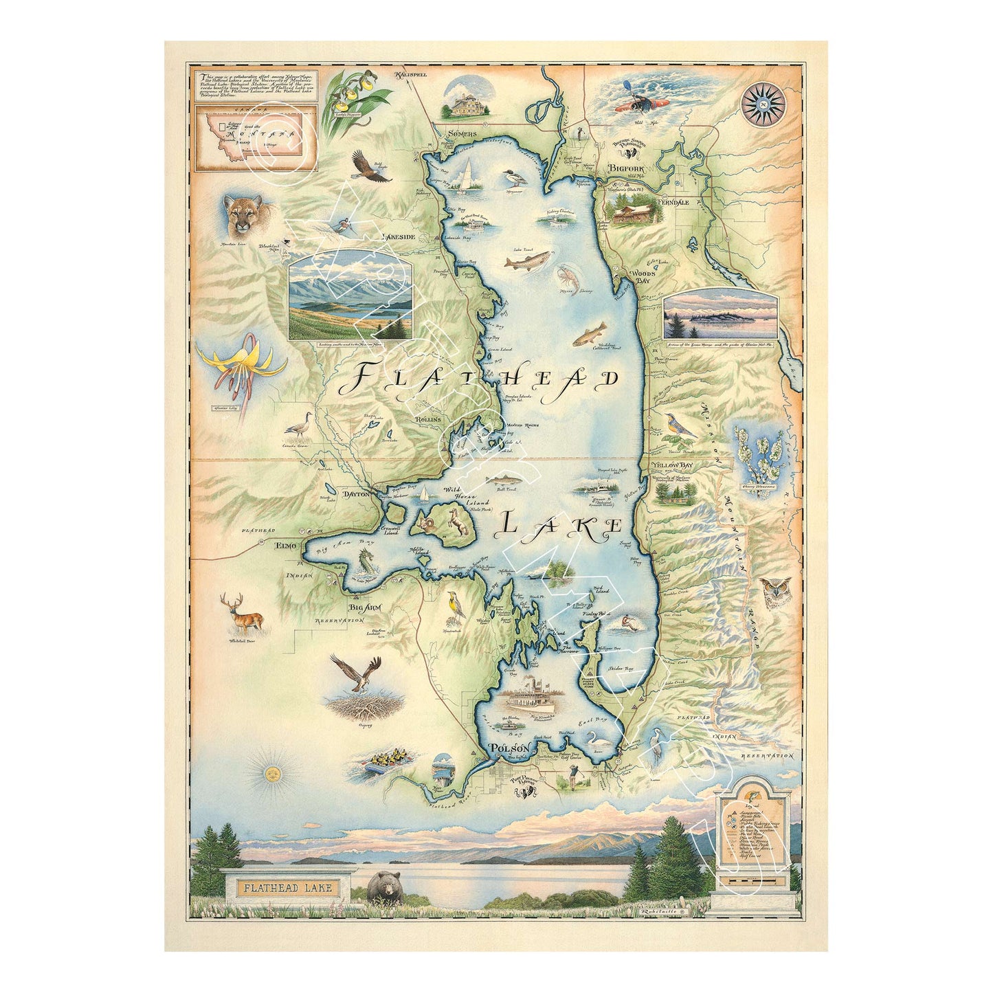 Flathead Lake 1000 Piece Jigsaw Puzzle Xplorer Maps