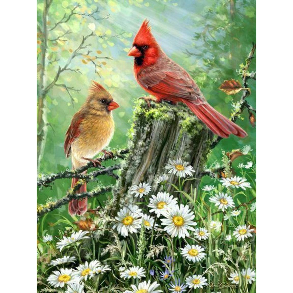 Golden Light 500 Piece Jigsaw Puzzle Springbok