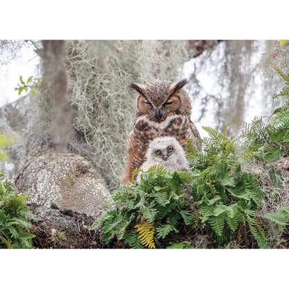 Great Horned Owl 1000 Piece Jigsaw Puzzle Cobble Hill