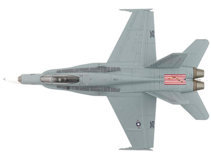 McDonnell Douglas F/A-18C Hornet Aircraft "VFA-15 Retro TAC Demo Jet VFA-106 Gladiators" (2017) United States Navy "Air Power Series" 1/72 Diecast Model by Hobby Master