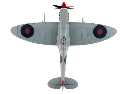 Supermarine Spitfire Mk IXc Fighter Aircraft "MA466 BQ-S No. 451 Squadron Corsica" (1944) Royal Australian Air Force "Air Power Series" 1/48 Diecast Model by Hobby Master