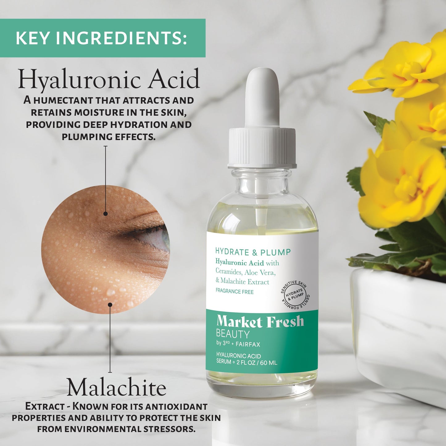 Market Fresh Beauty Hyaluronic Acid Serum - Hydrate & Plump with Ceramides, Aloe Vera, & Malachite Extract | Fragrance-Free | 2 fl oz by  Los Angeles Brands