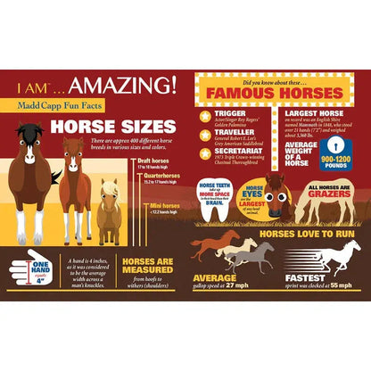 I Am Horse 300 Piece Head Shaped Jigsaw Puzzle Madd Capp