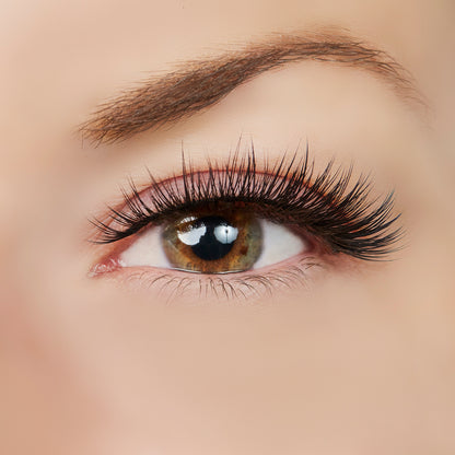 Above & Beyond Lash Style by True Beauty Lashes