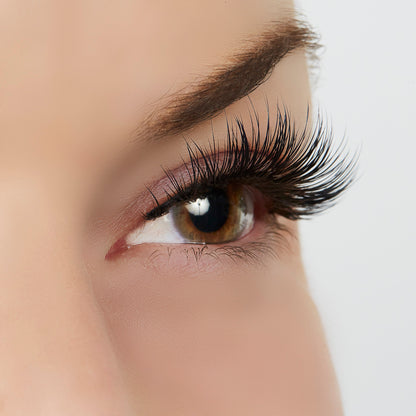 Wait for It Lash Style by True Beauty Lashes