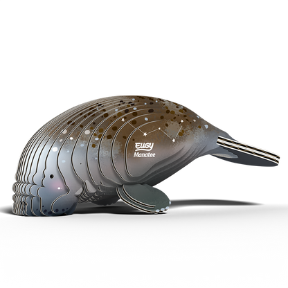 Manatee 3D Cardboard Model Kit Eugy
