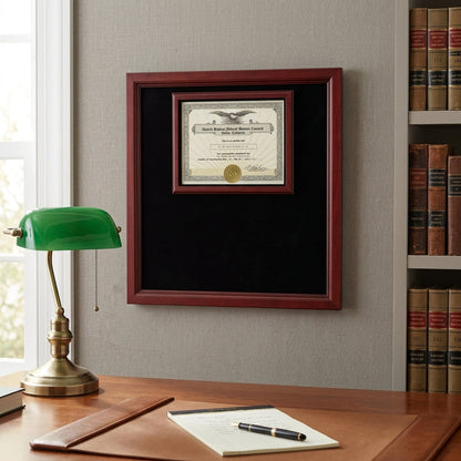Extra Large Award Display Case