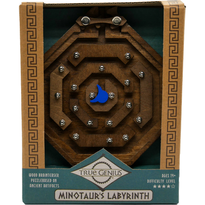 Minotaur's Labyrinth Brainteaser Puzzle True Genius