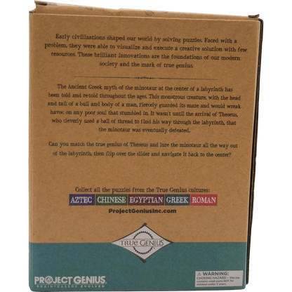 Minotaur's Labyrinth Brainteaser Puzzle True Genius