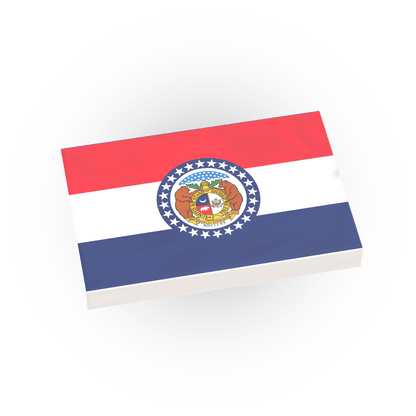 50 State Flags Pack - USA State Flags - Custom Printed 2x3 Tile - Made Using LEGO® Parts