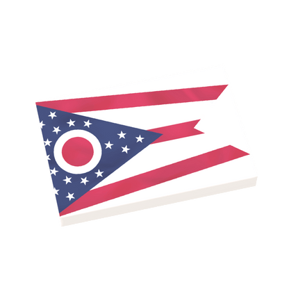 50 State Flags Pack - USA State Flags - Custom Printed 2x3 Tile - Made Using LEGO® Parts