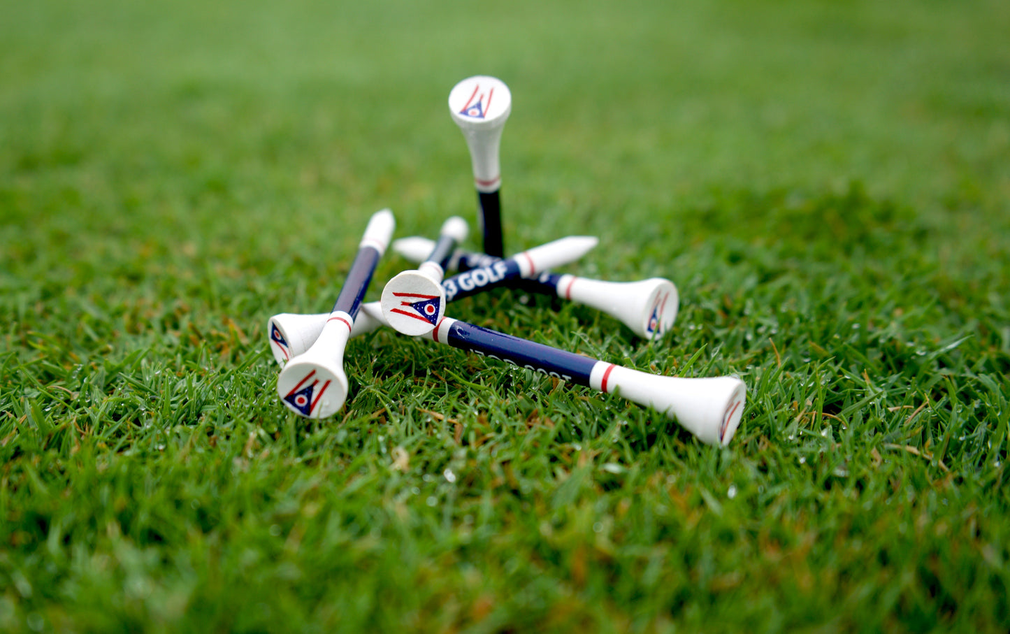 State of Ohio Golf Tees by 1803 Golf