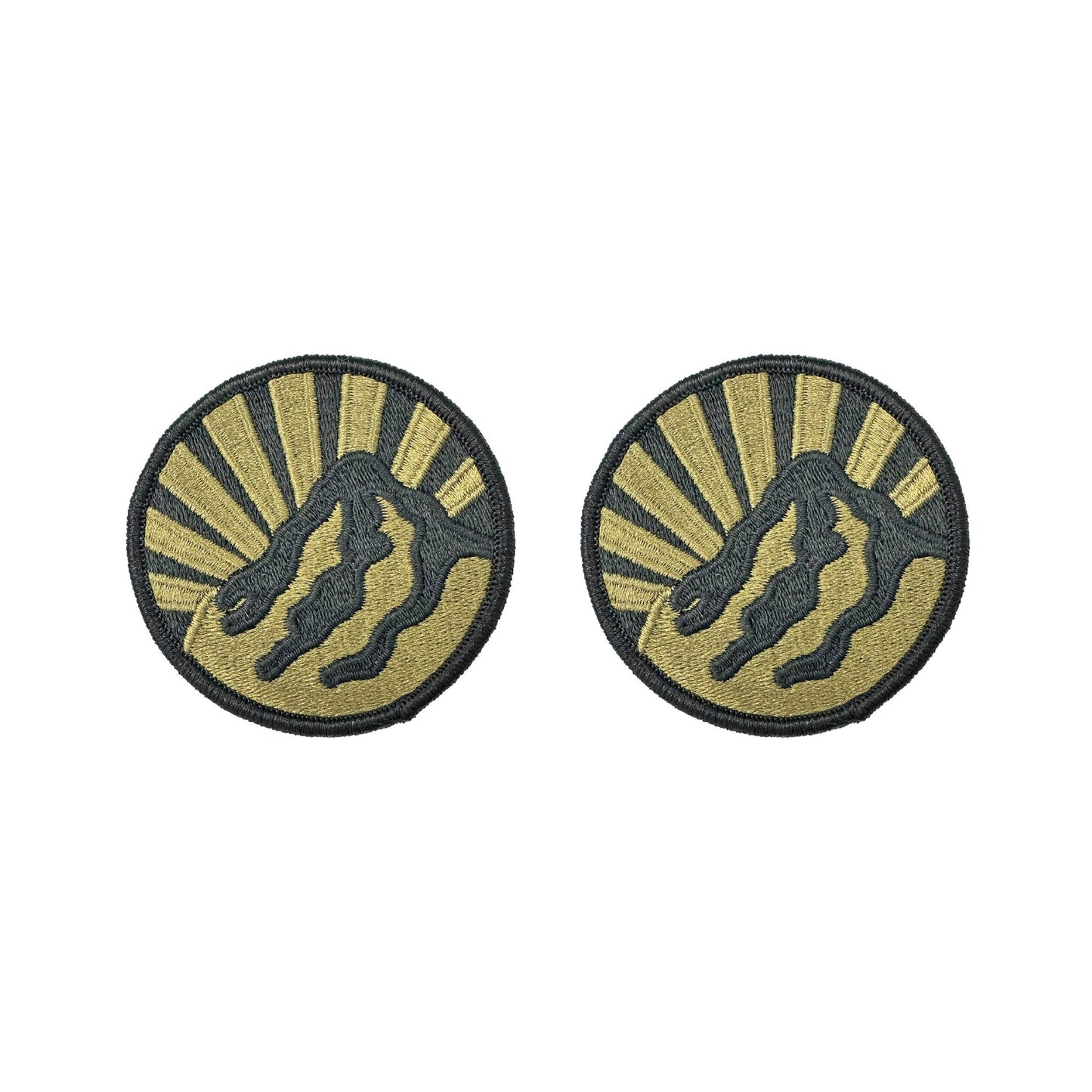 U.S. Army Montana National Guard OCP Patch with Hook Fastener (pair)