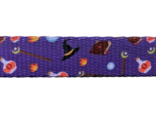 Paw-lymorph Dog Collar: Wizard