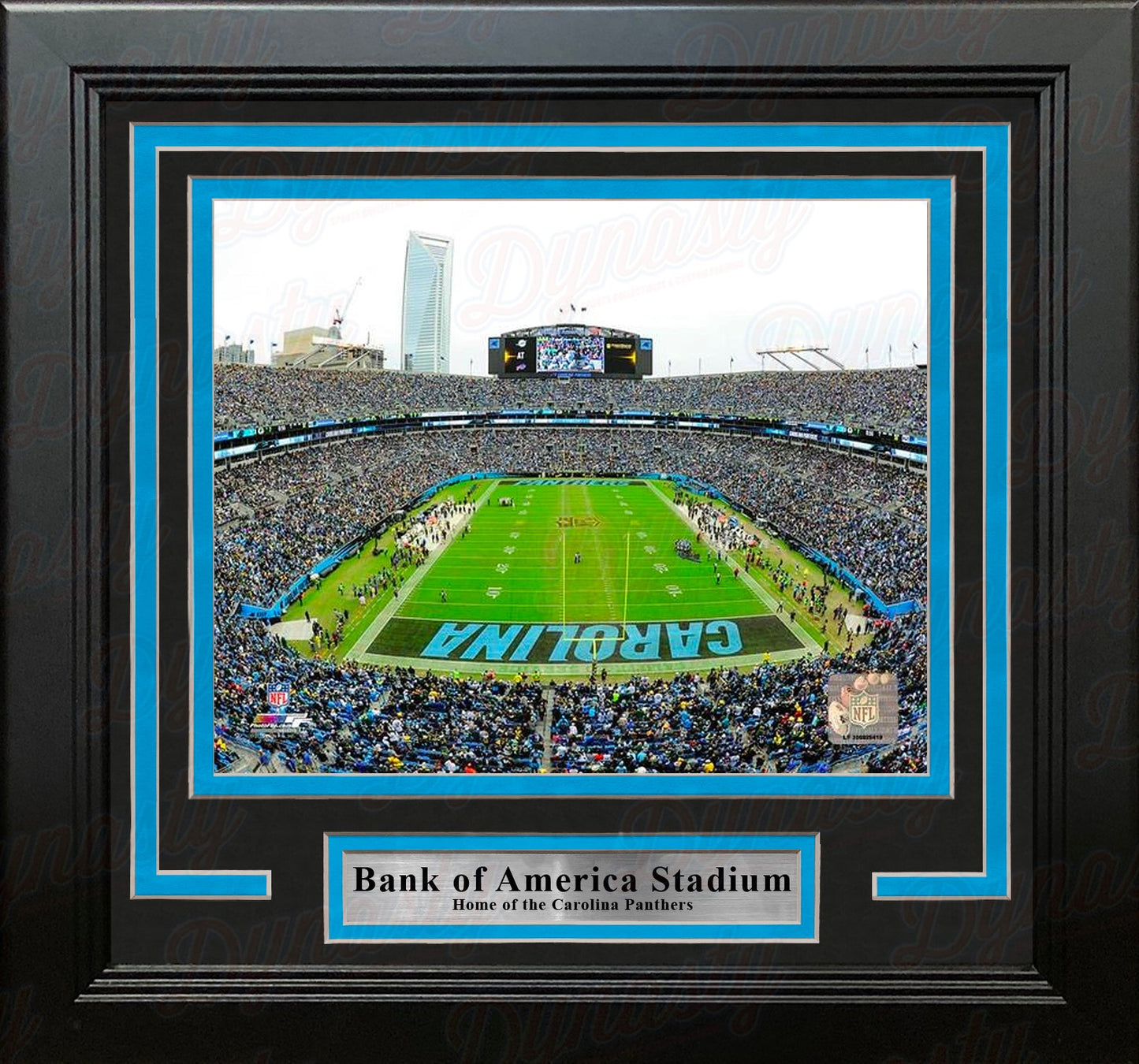 Carolina Panthers Bank of America Stadium NFL Football 8" x 10" Framed and Matted Photo