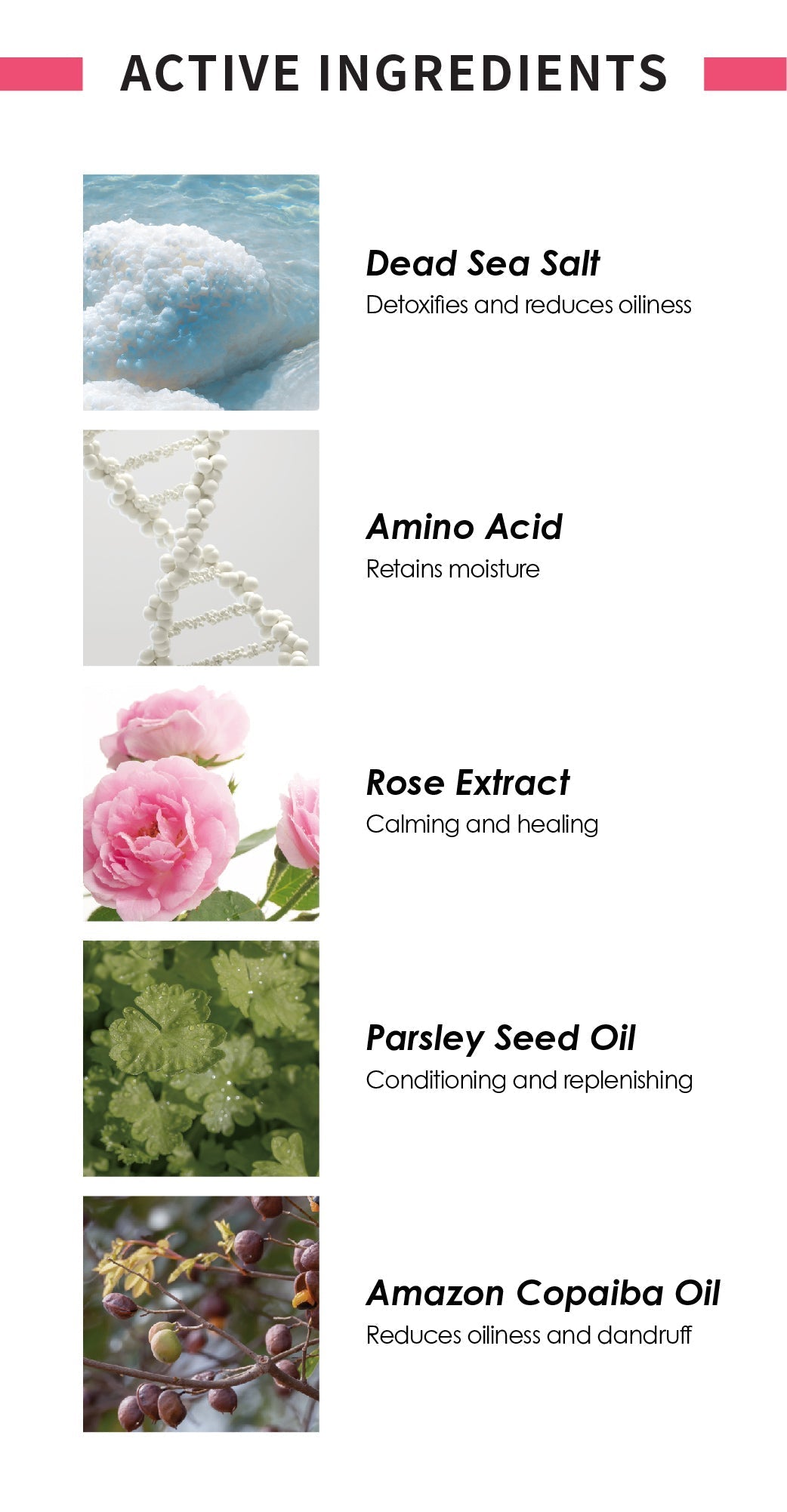 (New) Purifying Shampoo with Dead Sea Salt by elvis+elvin