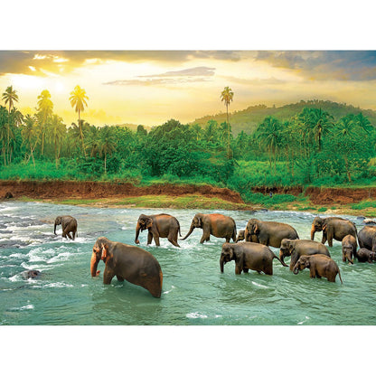 Rainforest 1000 Piece Jigsaw Puzzle Eurographics