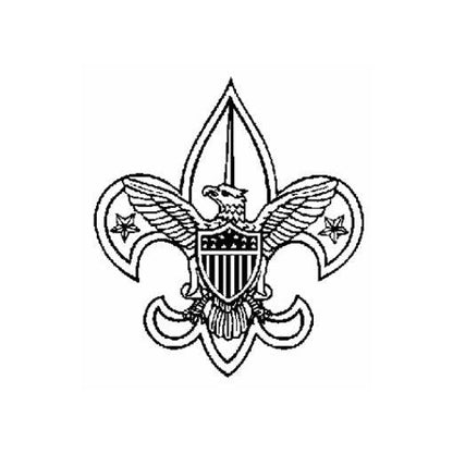 Scout Deluxe Awards and Flag Display Case