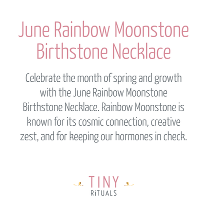 June Rainbow Moonstone Birthstone Necklace by Tiny Rituals