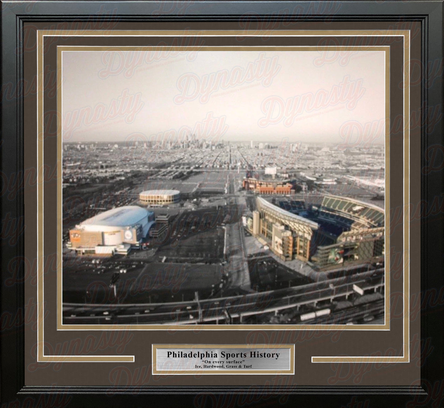 Philadelphia Sports Complex (Lincoln Financial, Citizen's Bank, Wells Fargo, Spectrum) Framed Photo