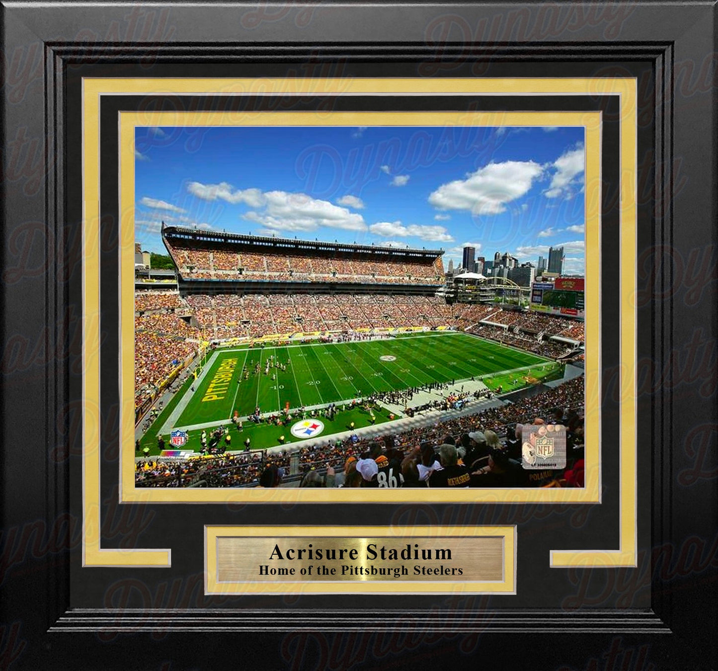 Pittsburgh Steelers Acrisure Stadium 8" x 10" Framed Football Stadium Photo