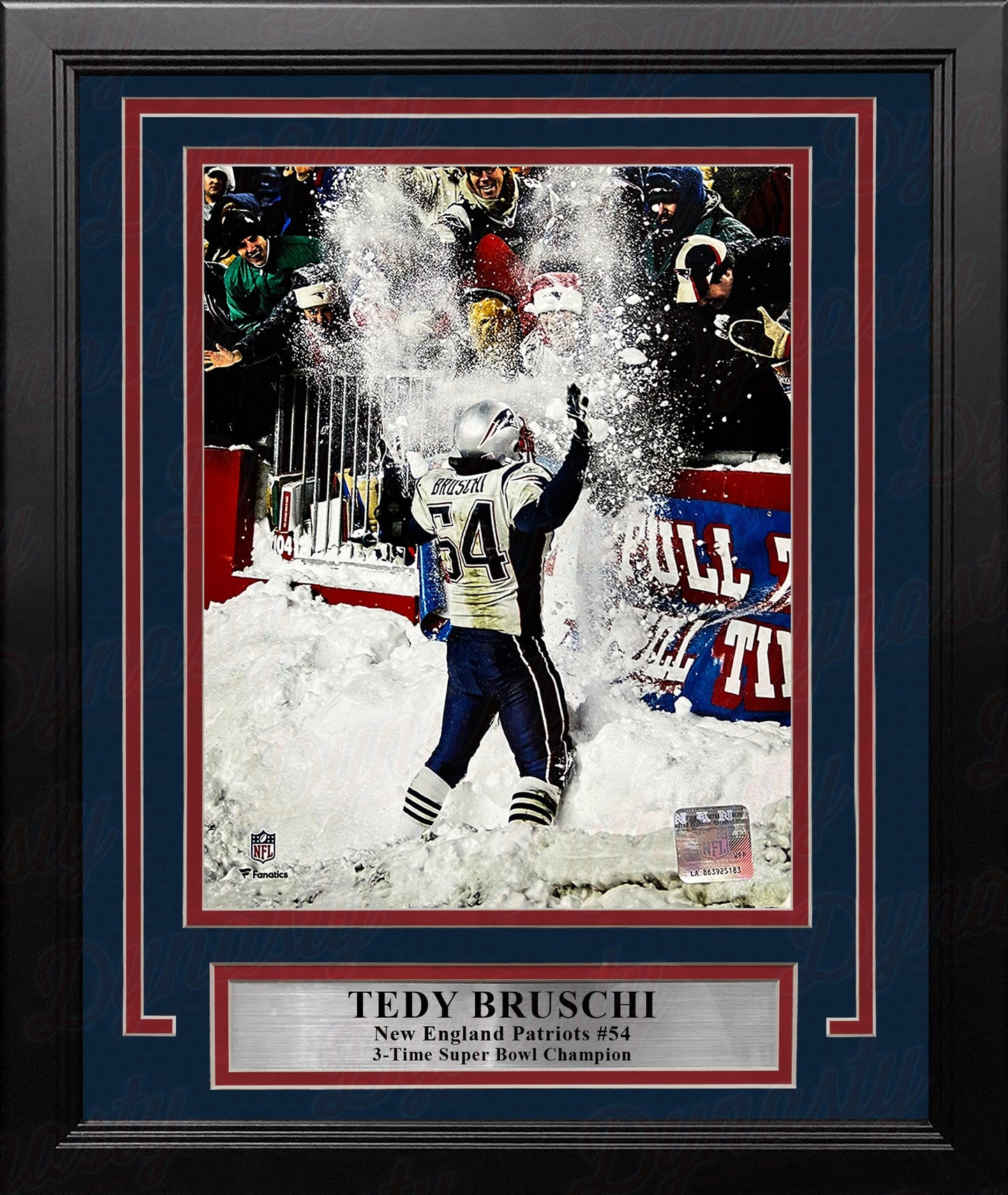 Tedy Bruschi Snow Celebration New England Patriots 8" x 10" Framed Football Photo