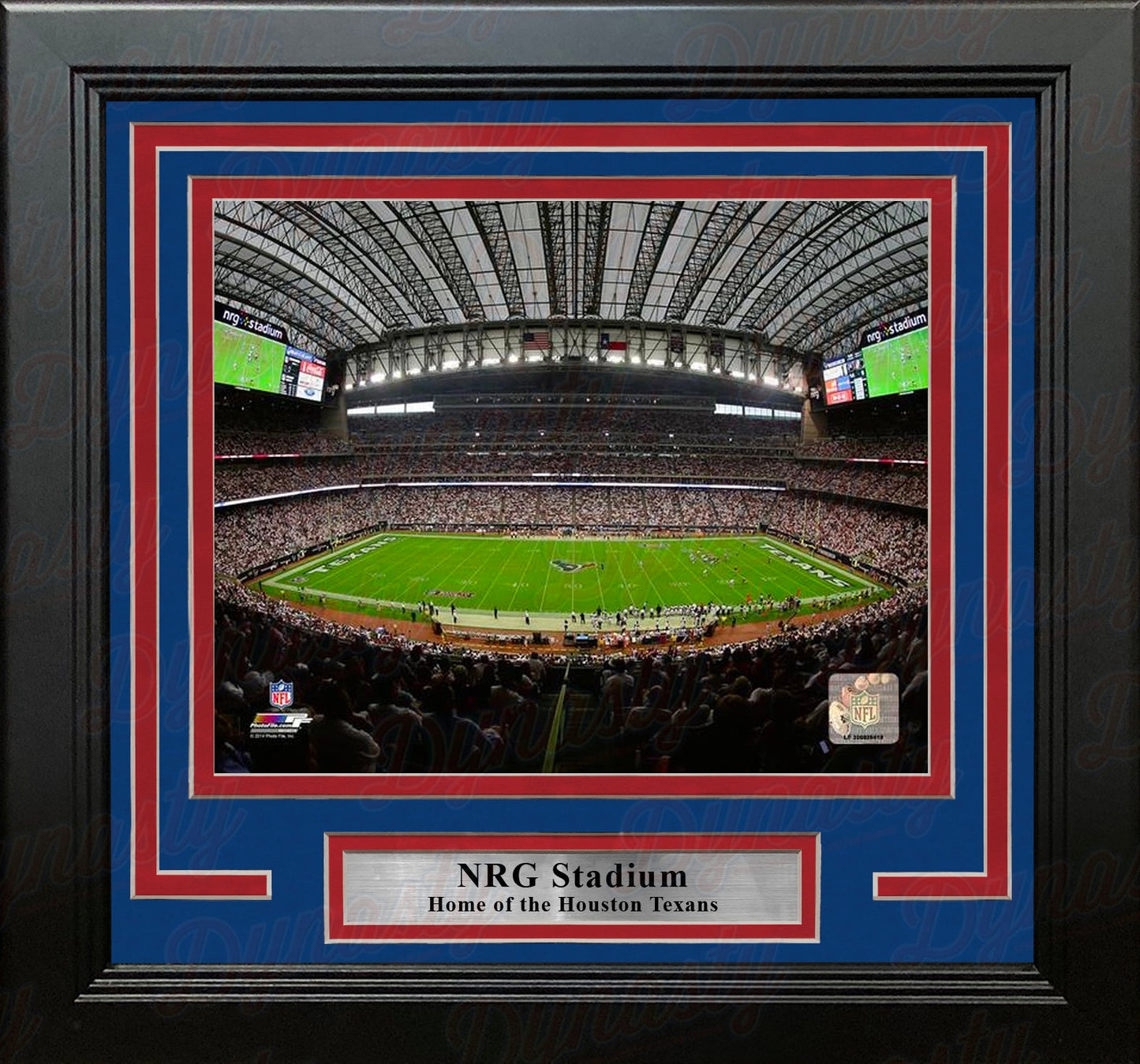 Houston Texans NRG Stadium NFL Football 8" x 10" Framed Photo