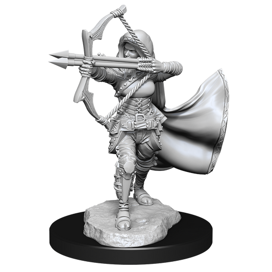 D&D: Nolzur's Marvelous Miniatures - Air Genasi Female