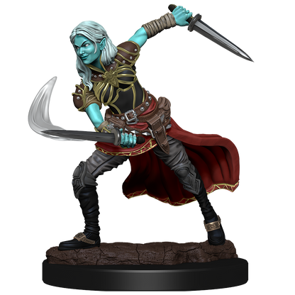 D&D: Nolzur's Marvelous Miniatures - Air Genasi Female