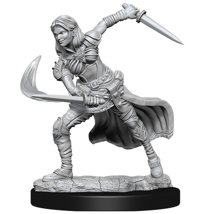 D&D: Nolzur's Marvelous Miniatures - Air Genasi Female