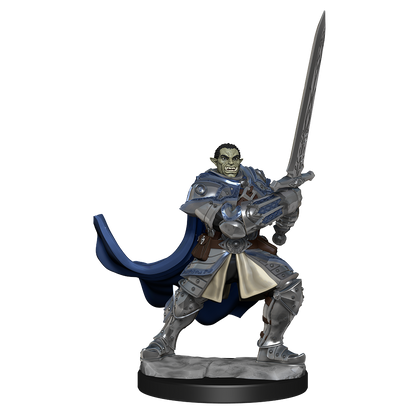 D&D: Nolzur's Marvelous Miniatures - Half-Orc Paladin Male