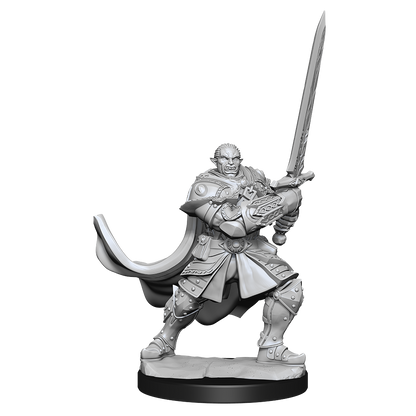 D&D: Nolzur's Marvelous Miniatures - Half-Orc Paladin Male