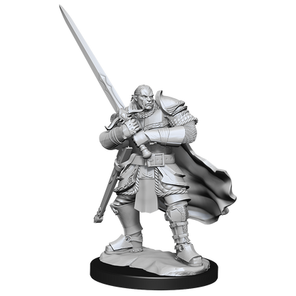 D&D: Nolzur's Marvelous Miniatures - Half-Orc Paladin Male