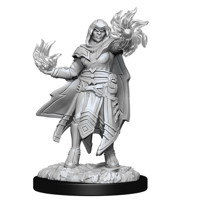 D&D: Nolzur's Marvelous Miniatures - Hobgoblin Fighter Male & Hobgoblin Wizard Female