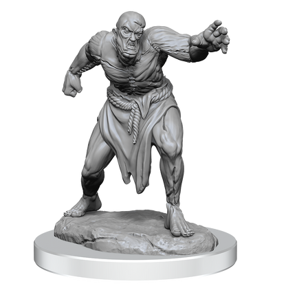 D&D: Nolzur's Marvelous Miniatures - Flesh Golems