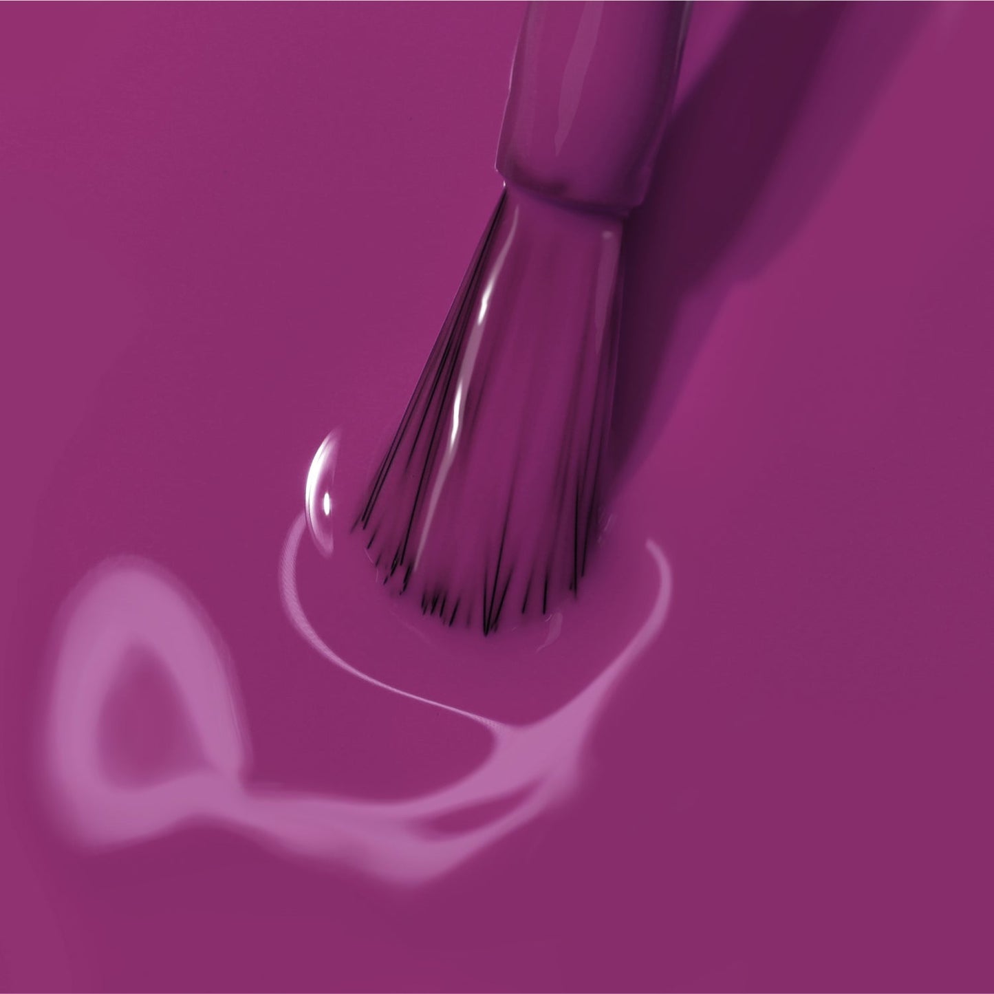 Violet Hibiscus by LONDONTOWN