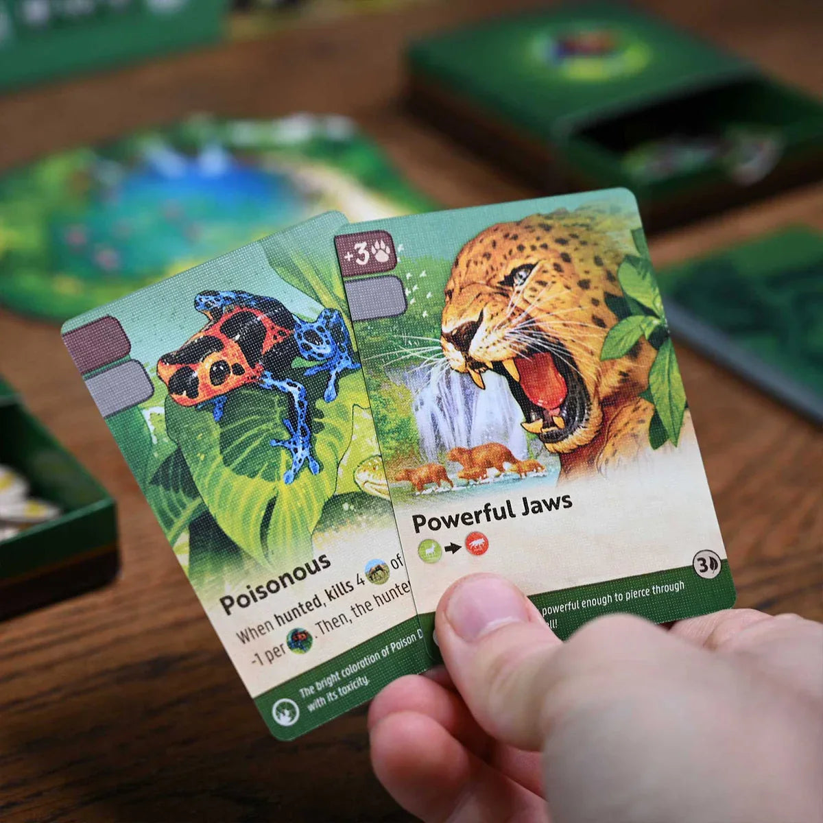 Nature: Module 5 - Amazon Rainforest