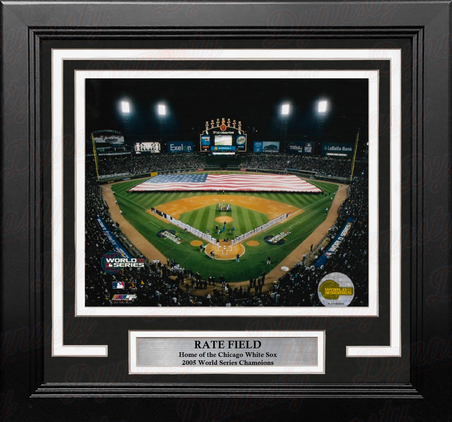 Chicago White Sox 2005 World Series 8" x 10" Framed Baseball Stadium Photo