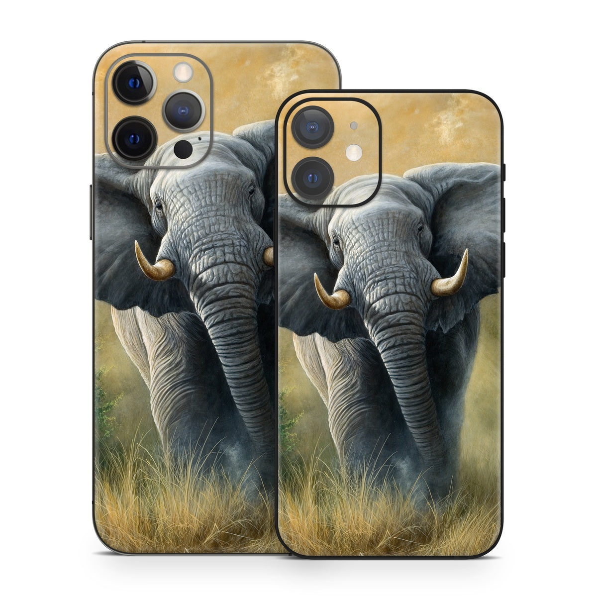 Right of Way - Apple iPhone 12 Skin