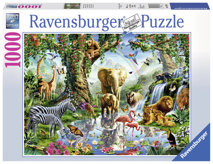 Puzzle: Adventures in the Jungle