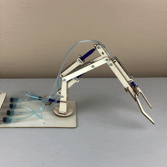 Hydraulic Robotic Arm DIY Kit, Educational STEM Toy