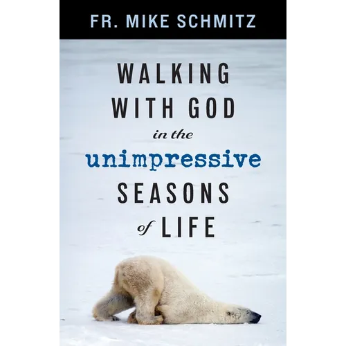 Walking with God in the Unimpressive Seasons of Life - Paperback