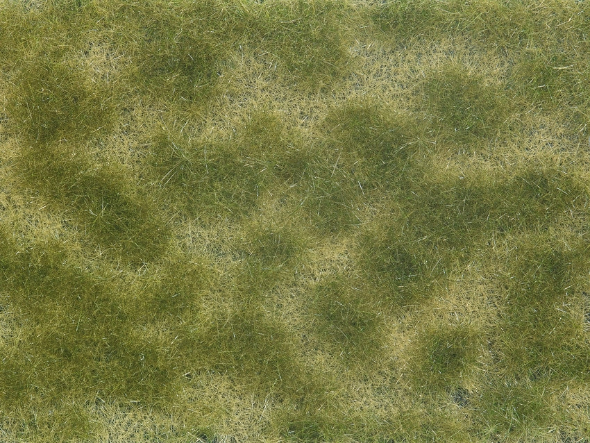Noch 7253 All Scale Ground Cover Foliage Pad, Green-Beige