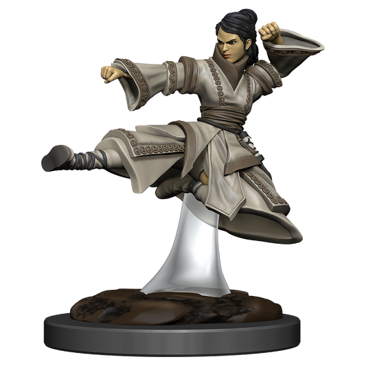 D&D: Icons of the Realms - Human Monk Female