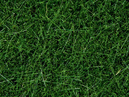 Noch 7106 All Scale Wild Grass - 1-3/4oz 50g -- Dark Green