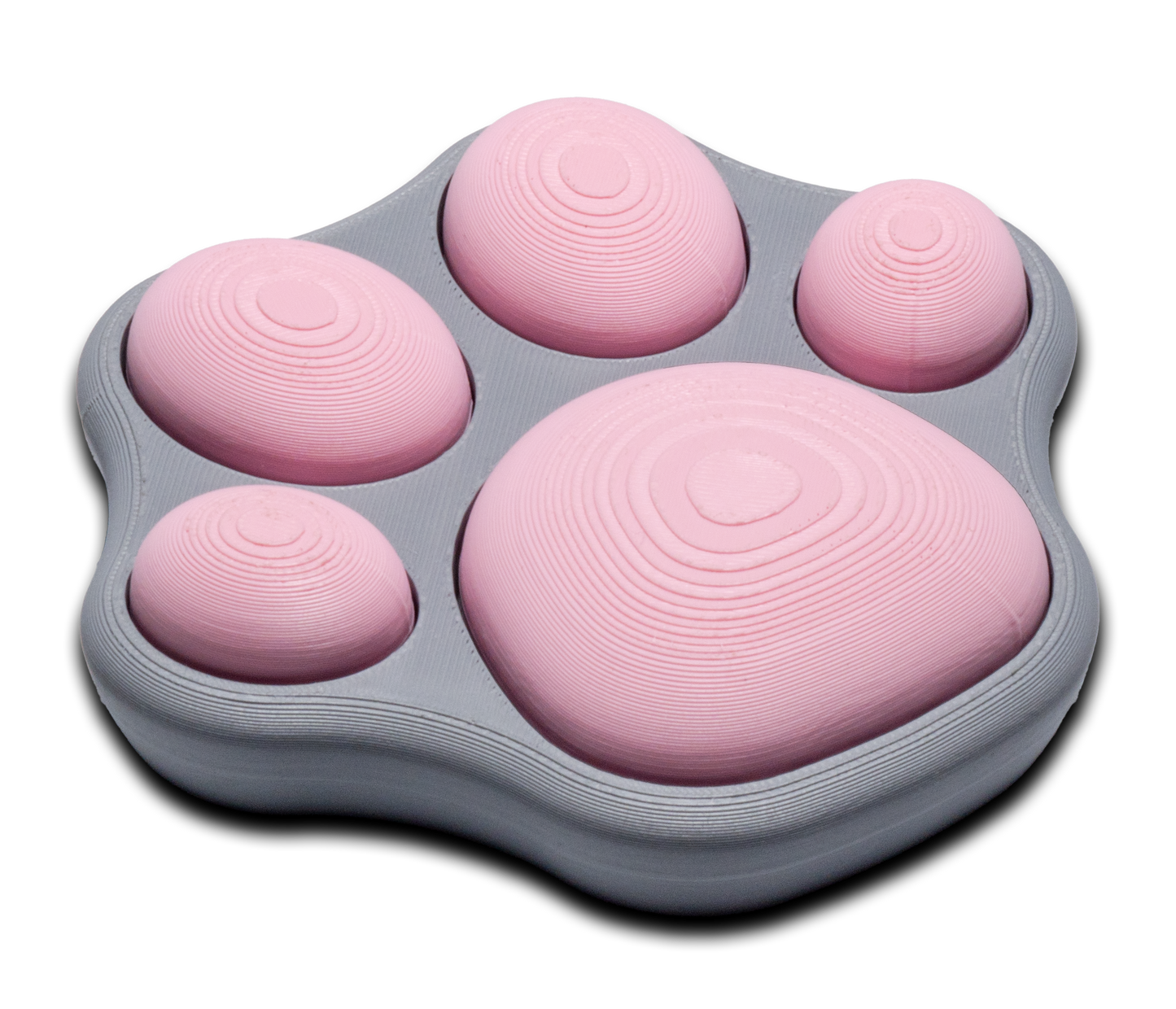 Cat Paw Switch Fidget