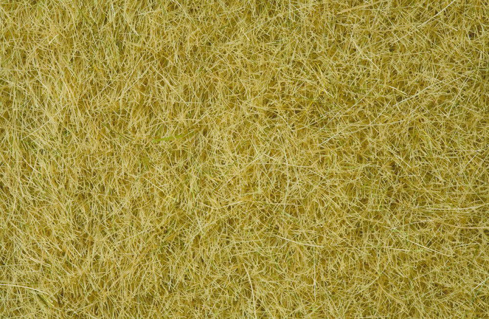 Noch 7091 All Scale Wild Grass, Beige, 6mm, 100g Tub