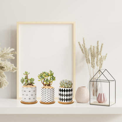 B&W Planters Set of 3 by ClaudiaG Collection
