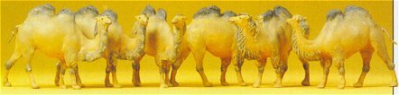 Preiser 20383 HO Scale Animals Camels (Bactrian, 2 Humps) pkg(6)